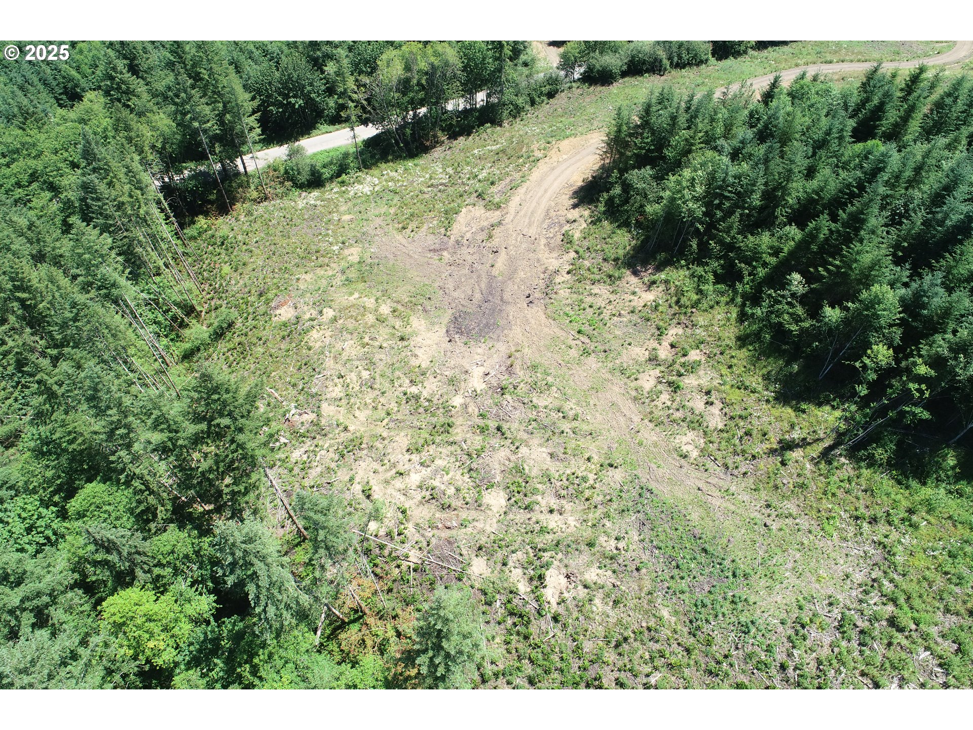 0 Kalama River Road, Unit B Kalama, WA 98625 - Photo 4 of 14 a view of a lush green forest with lots of trees