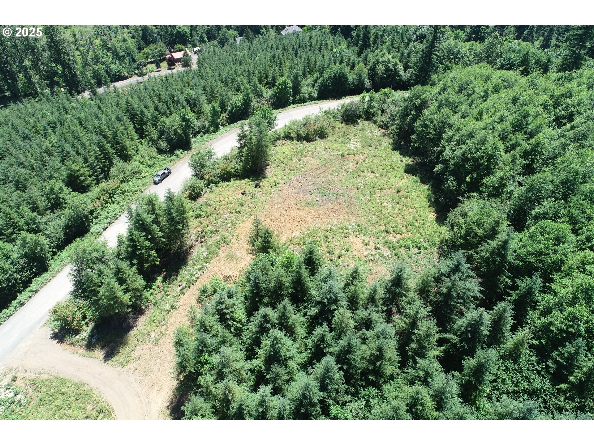 0 Kalama River Road, Unit B Kalama, WA 98625 - Photo 5 of 14 a view of a forest with a building in the background