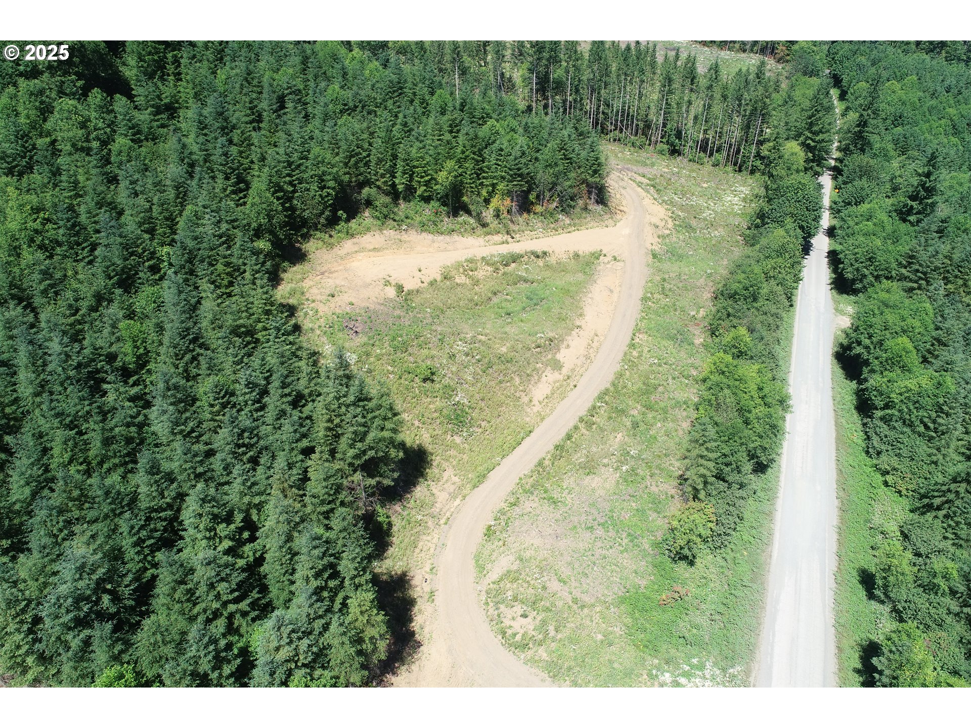 0 Kalama River Road, Unit B Kalama, WA 98625 - Photo 6 of 14 a view of a yard with a tree
