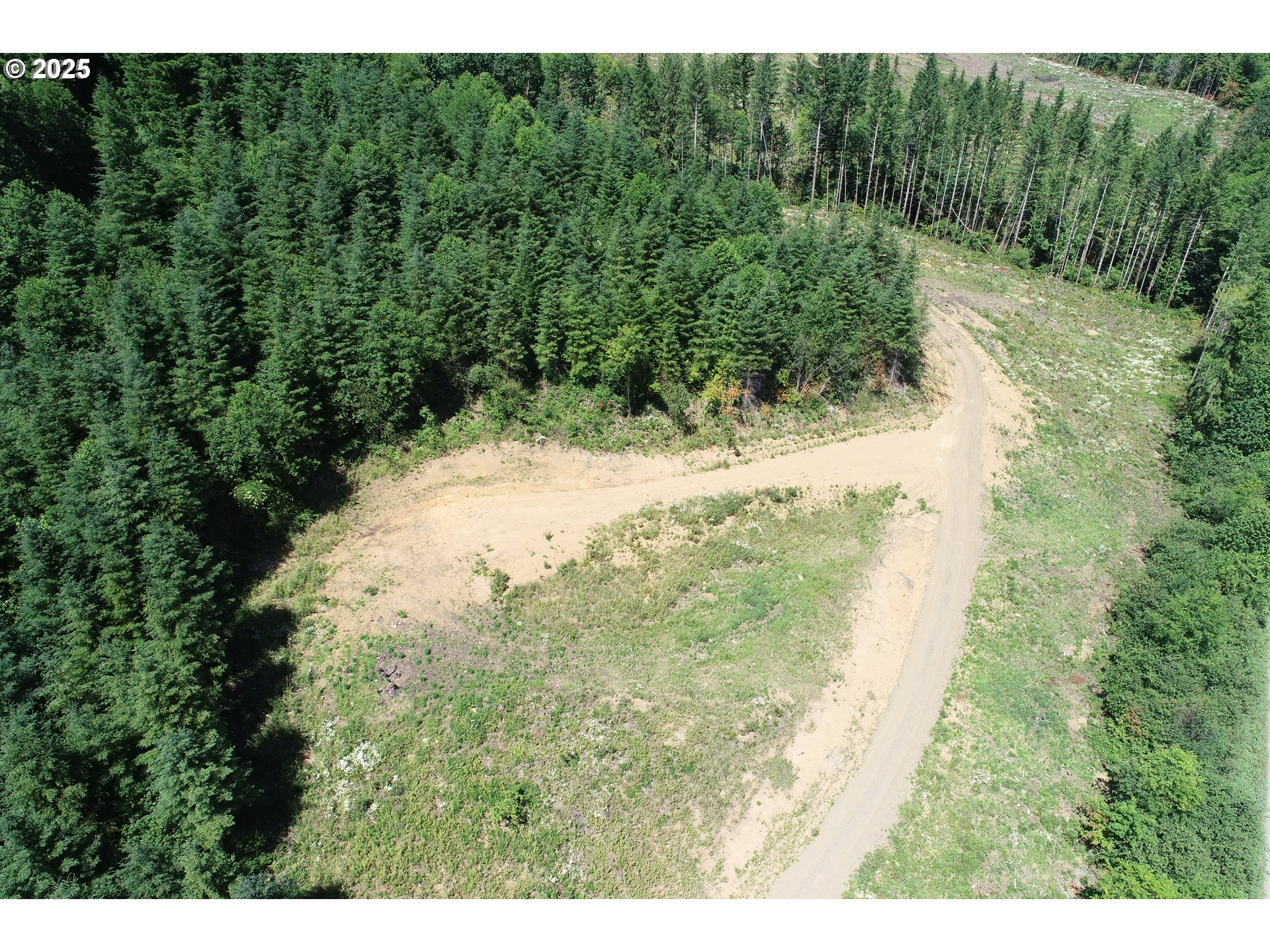 0 Kalama River Road, Unit B Kalama, WA 98625 - Photo 7 of 14 a view of a yard with a tree
