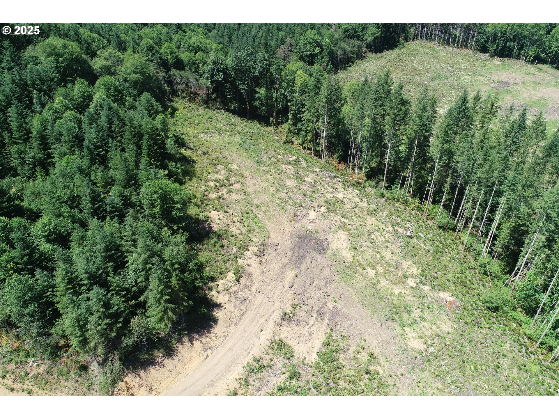 0 Kalama River Road, Unit B Kalama, WA 98625 - Photo 8 of 14 a view of a lush green forest with trees in the background