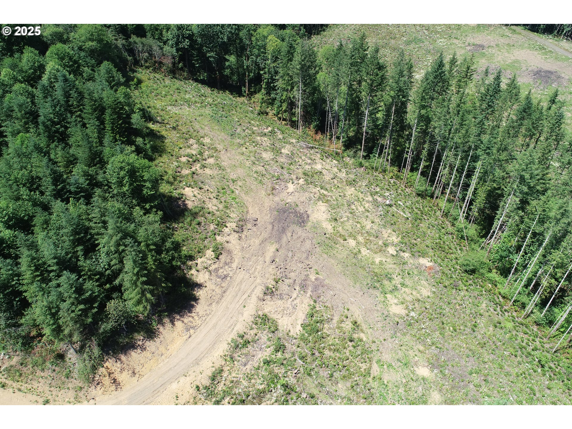 0 Kalama River Road, Unit B Kalama, WA 98625 - Photo 9 of 14 a view of a yard with a tree