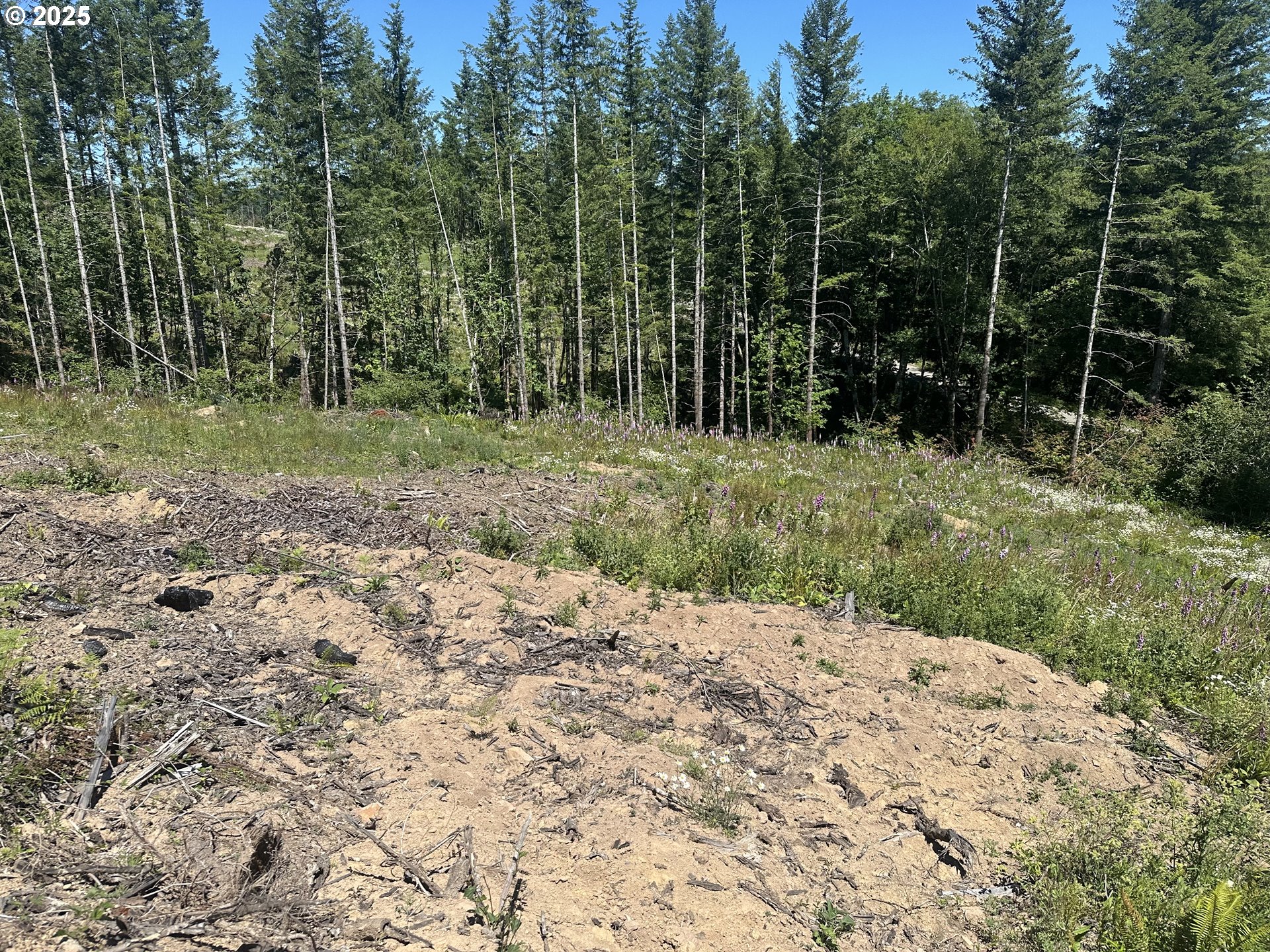 0 Kalama River Road, Unit B Kalama, WA 98625 - Photo 10 of 14 a view of backyard with green space
