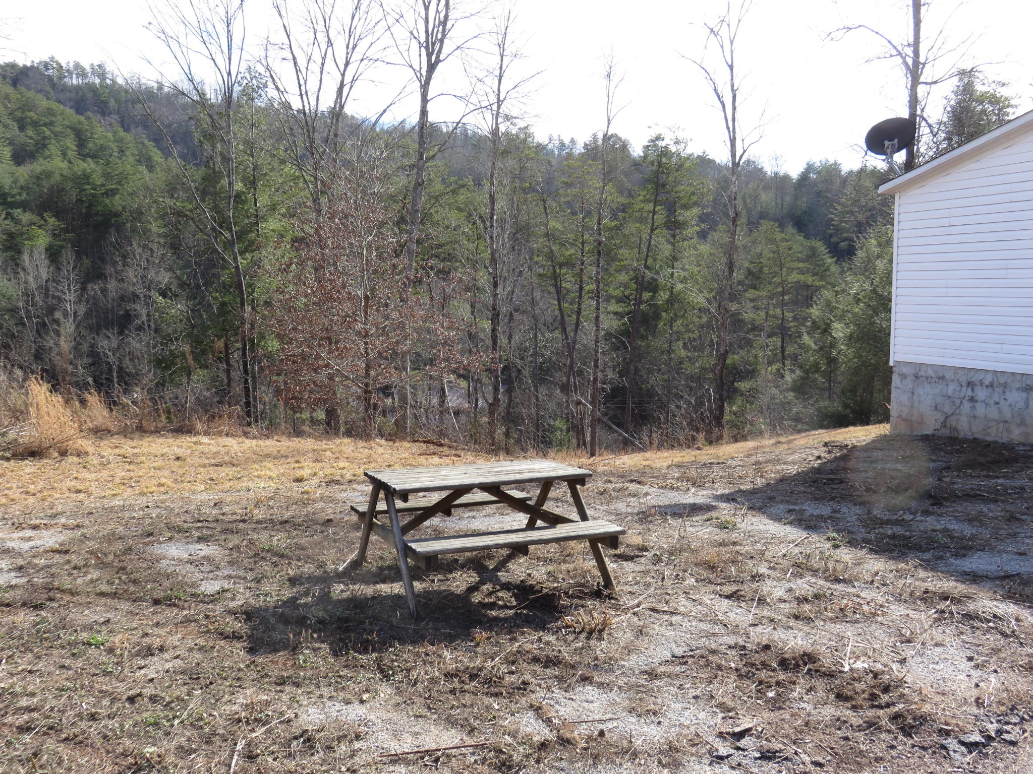 655 Rafter Road Tellico Plains, TN 37385 - Photo 20 of 20 Gallery Image 20