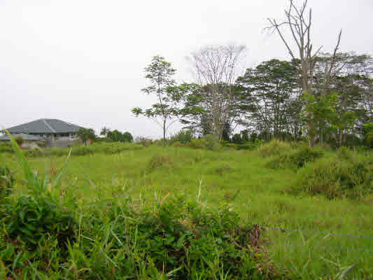 140 Akolea Road Hilo, HI 96720 - Photo 13 of 13