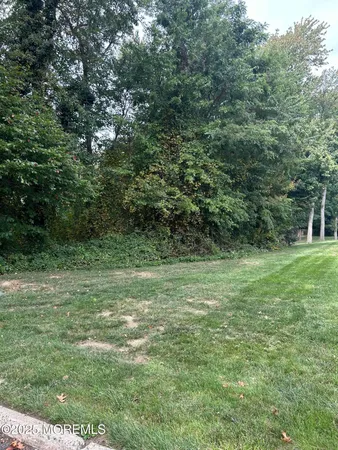 a view of a field with trees in the background