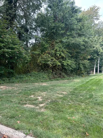 a view of a field with trees in the background