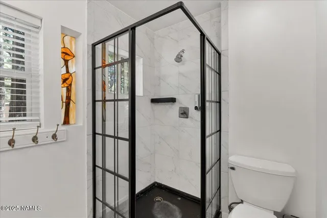 a bathroom with a shower and a toilet