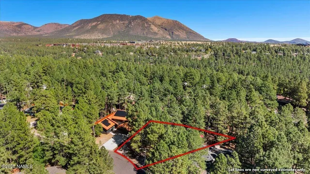 a view of a lush green hillside and a houses