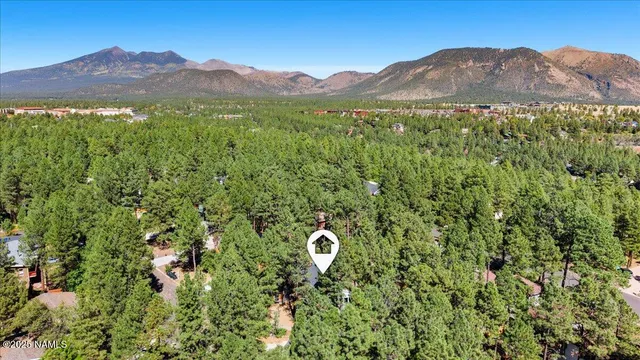 a view of a lush green field and mountains