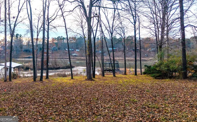 a view of tall trees with a yard