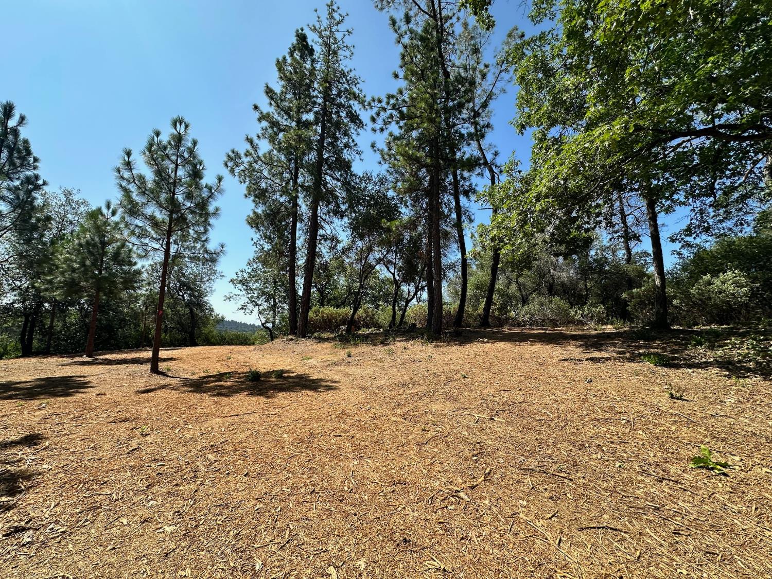 4013 Summit View Court Meadow Vista, CA 95722 - Photo 16 of 40