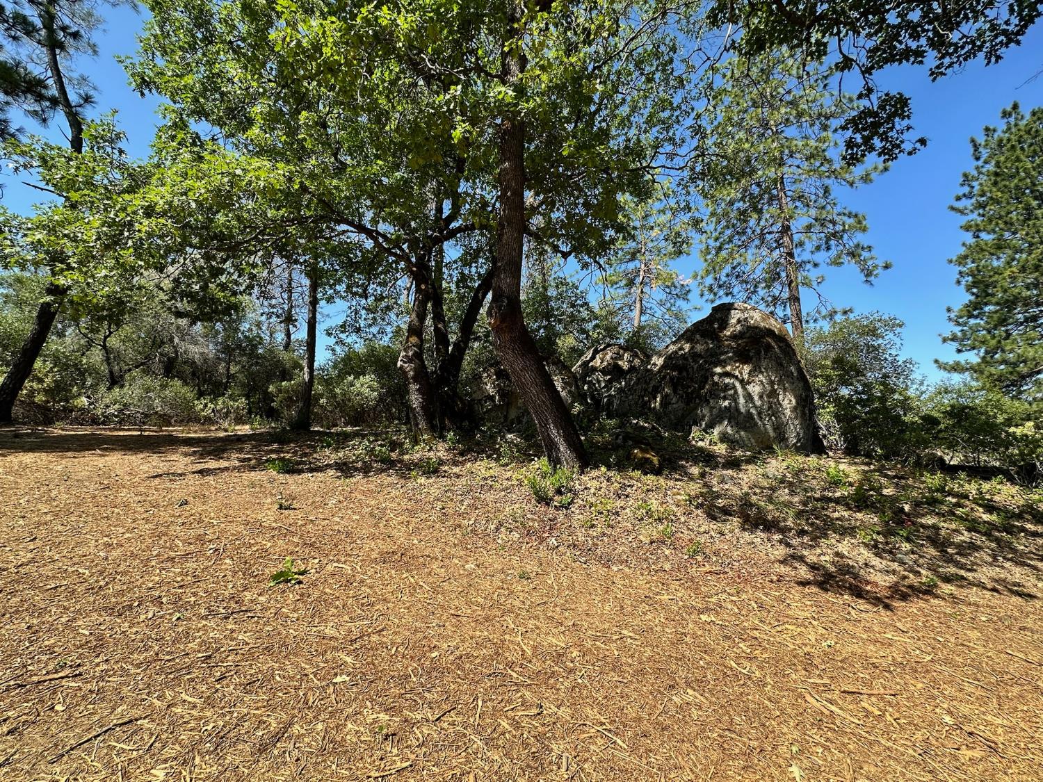 4013 Summit View Court Meadow Vista, CA 95722 - Photo 19 of 40