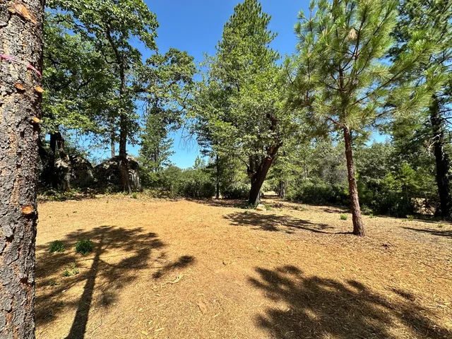$625,000 | 4013 Summit View Court, Meadow Vista, CA 95722