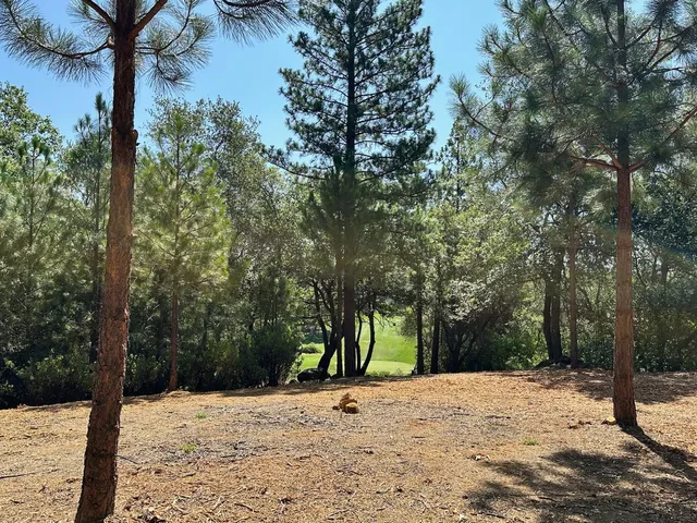 $625,000 | 4013 Summit View Court, Meadow Vista, CA 95722