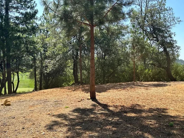 $625,000 | 4013 Summit View Court, Meadow Vista, CA 95722