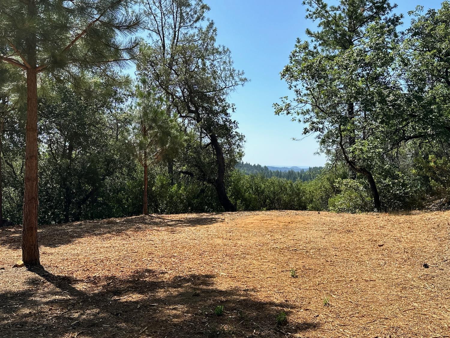 4013 Summit View Court Meadow Vista, CA 95722 - Photo 26 of 40