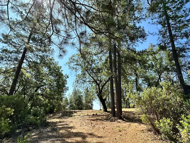 $625,000 | 4013 Summit View Court, Meadow Vista, CA 95722