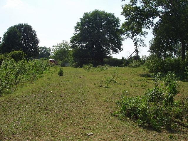 997 Hamilton Chambers Road Lebanon, TN 37087 - Photo 5 of 12 View from the back of the front fenced field