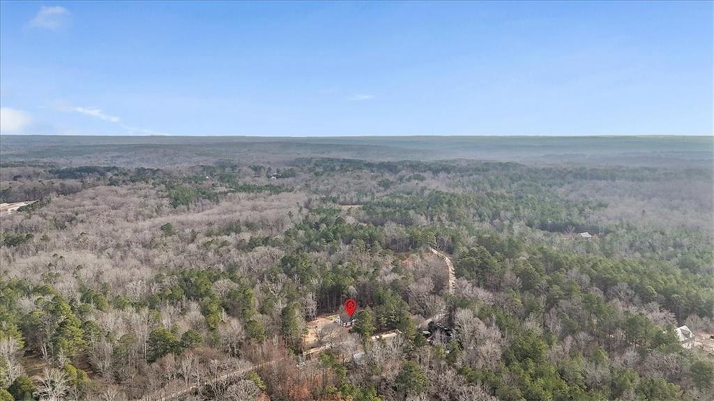 1475 Ben Davis Road Buchanan, GA 30113 - Photo 59 of 61 a view of outdoor space and green space
