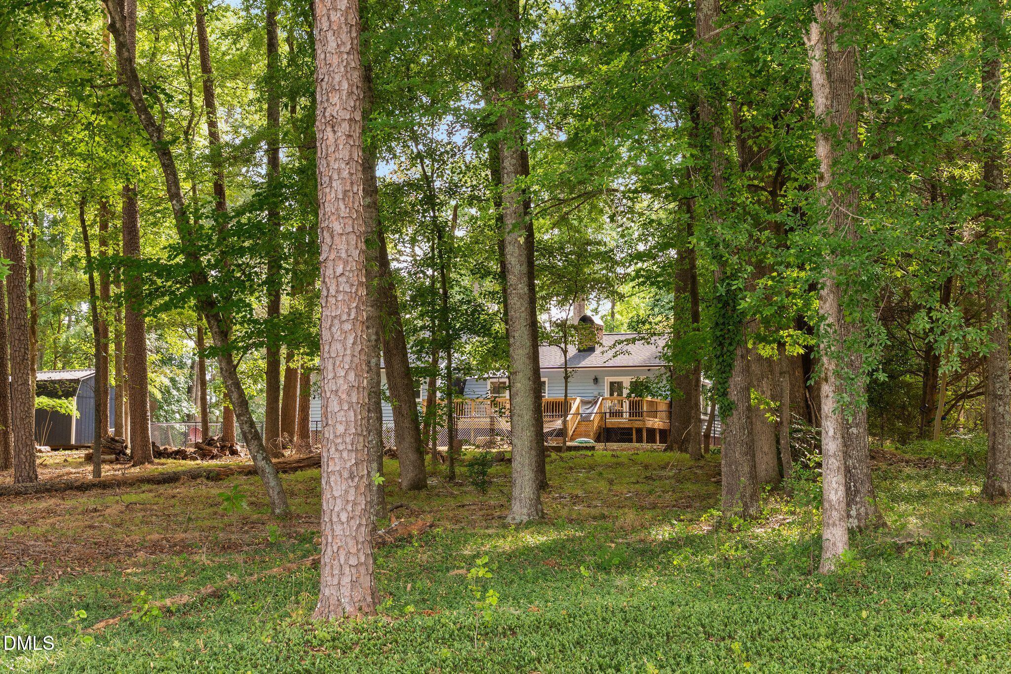 408 Lake Winds Trail Rougemont, NC 27572 - Photo 22 of 68
