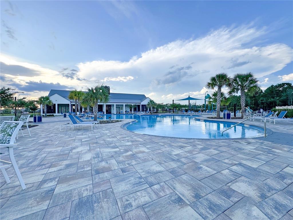 6988 Botanic Boulevard Harmony, FL 34773 - Photo 54 of 61 a view of swimming pool with lawn chairs and plants