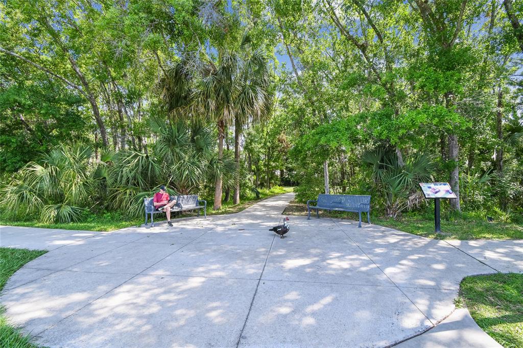 14601 Anchoret Road Tampa, FL 33618 - Photo 23 of 31 Gallery Image 23