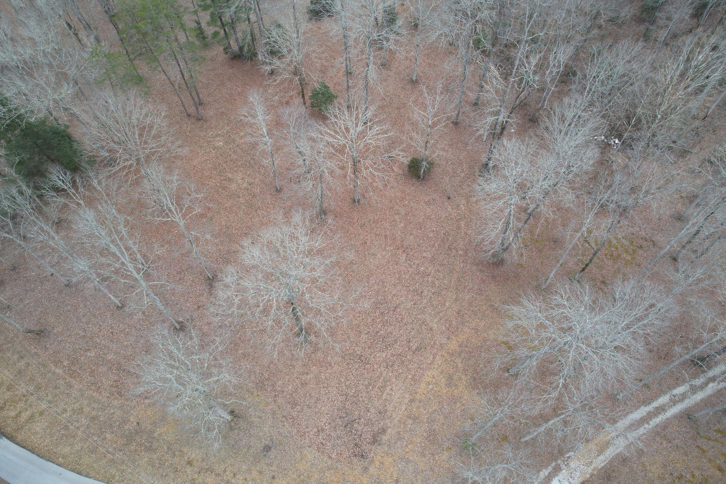 1700 Green Ford Road Monticello, KY 42633 - Photo 19 of 31 20220226195524515150000000-o