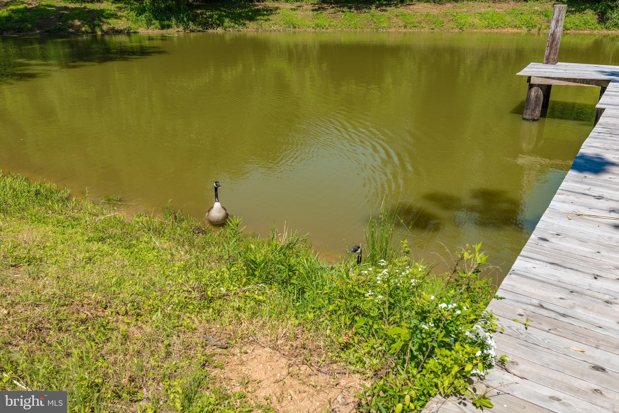 2060 Woodbine Road Woodbine, MD 21797 - Photo 19 of 50