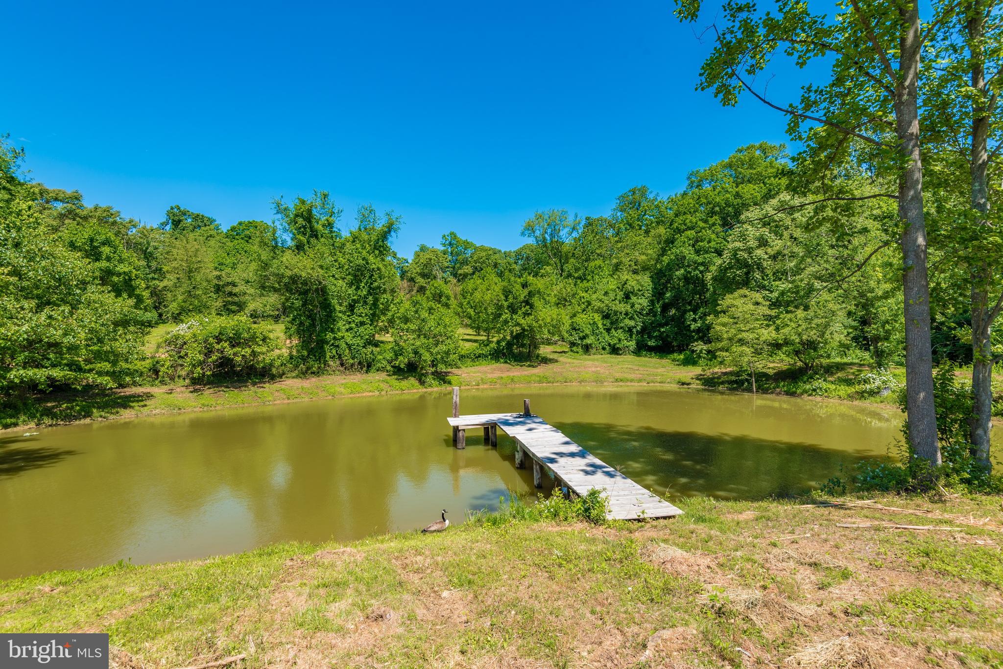 2060 Woodbine Road Woodbine, MD 21797 - Photo 4 of 50