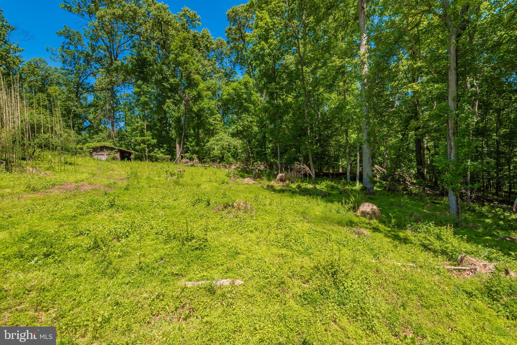 2060 Woodbine Road Woodbine, MD 21797 - Photo 38 of 50