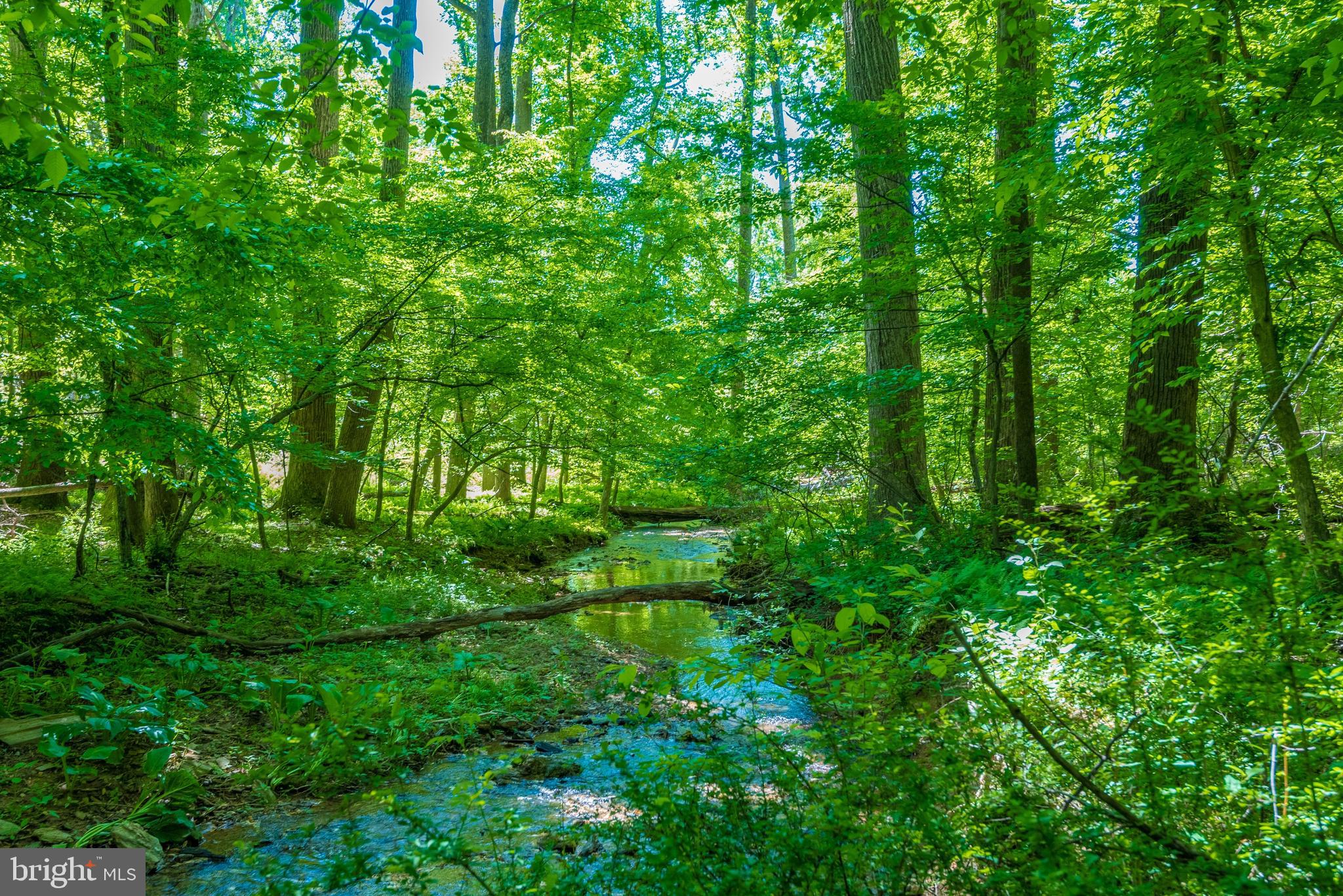 2060 Woodbine Road Woodbine, MD 21797 - Photo 5 of 50 Nice Stream on the property