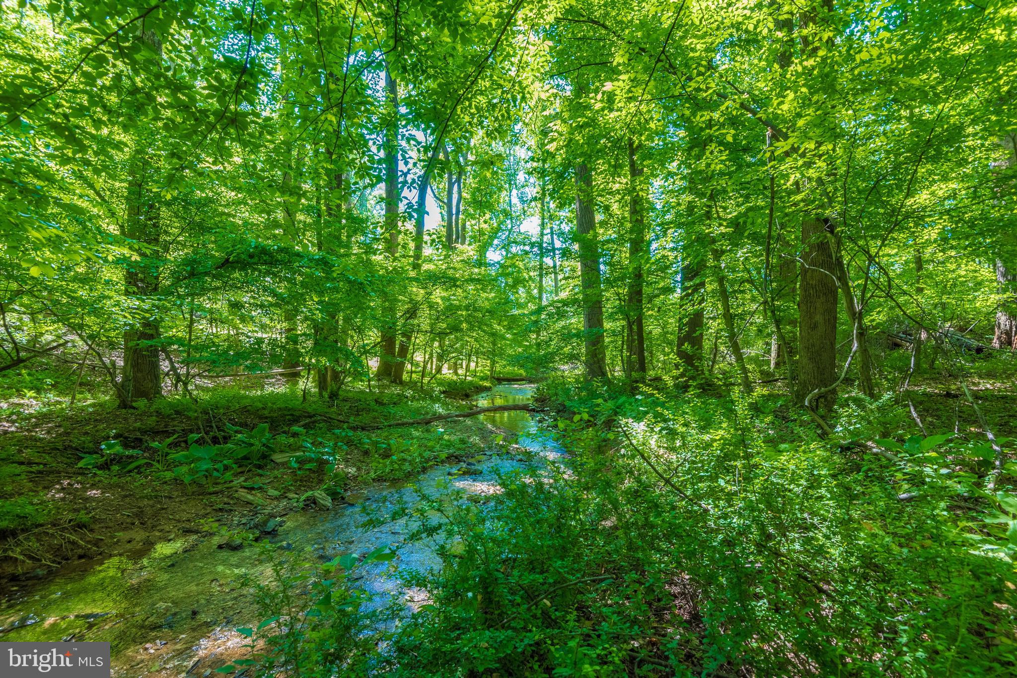 2060 Woodbine Road Woodbine, MD 21797 - Photo 41 of 50