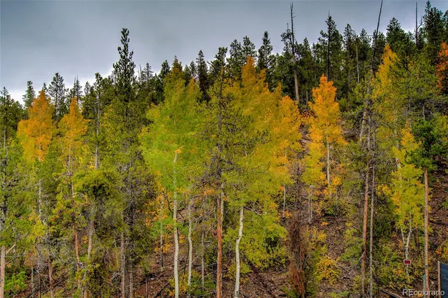 $925,000 | 48 Mt Elbert Road, Twin Lakes, CO 81251