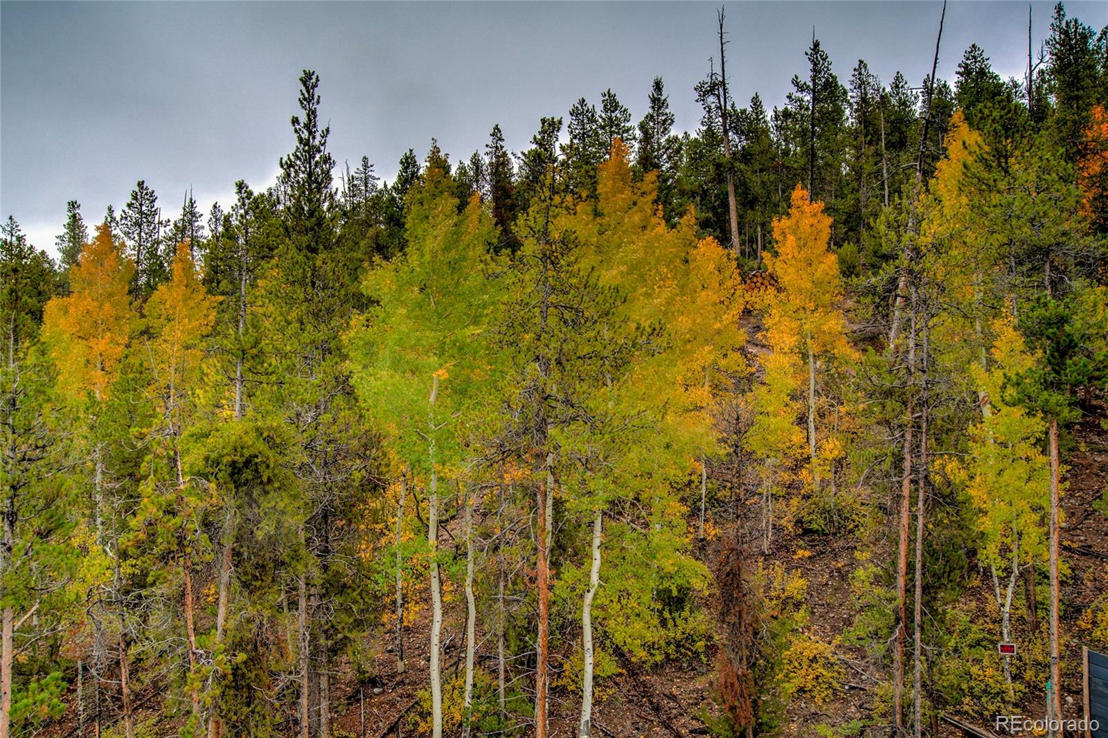 48 Mt Elbert Road Twin Lakes, CO 81251 - Photo 45 of 49