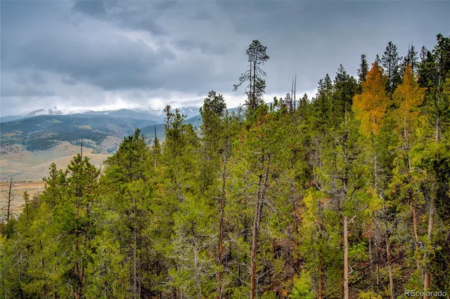 $925,000 | 48 Mt Elbert Road, Twin Lakes, CO 81251