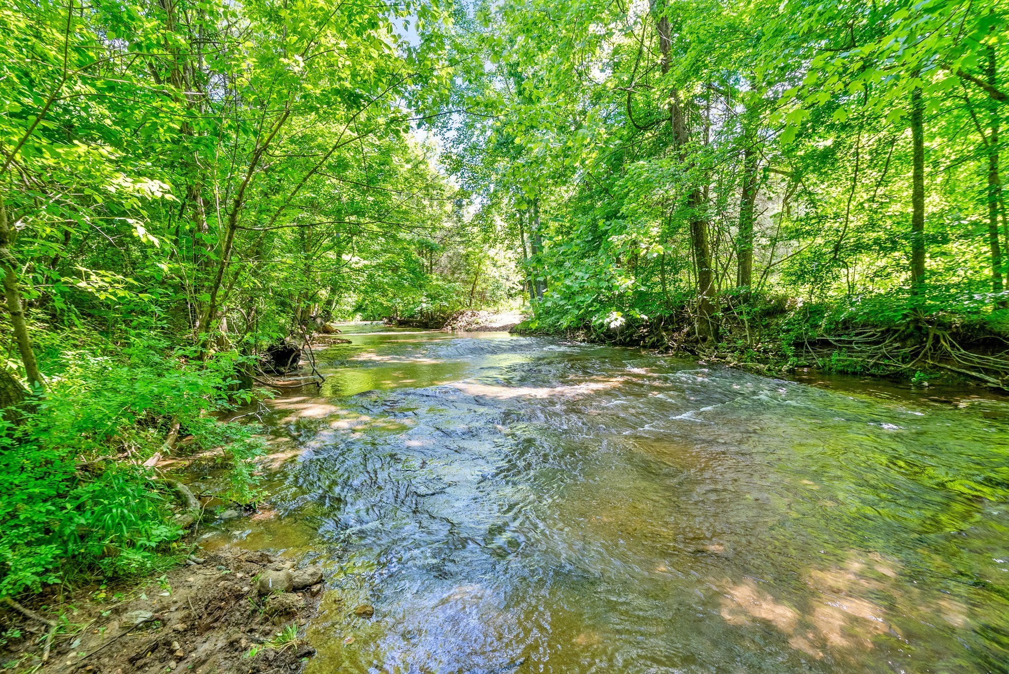 3712 Budds Creek Road Palmyra, TN 37142 - Photo 2 of 100