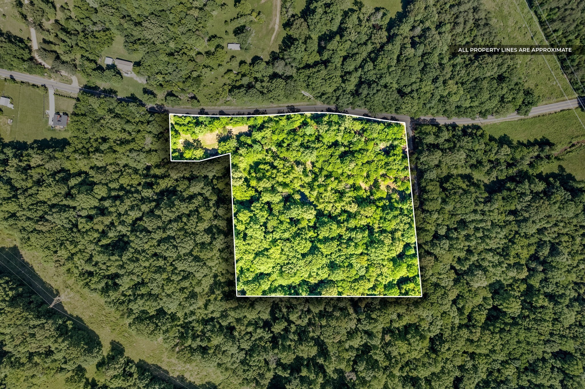 3712 Budds Creek Road Palmyra, TN 37142 - Photo 42 of 100 a view of a garden