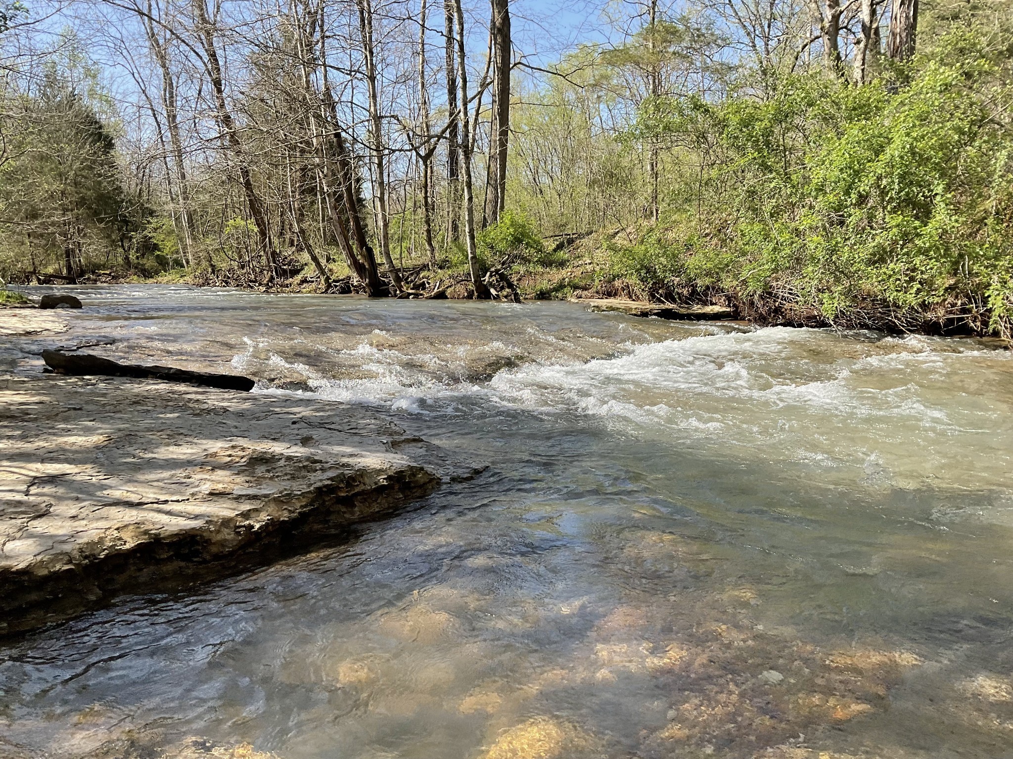 3712 Budds Creek Road Palmyra, TN 37142 - Photo 47 of 100