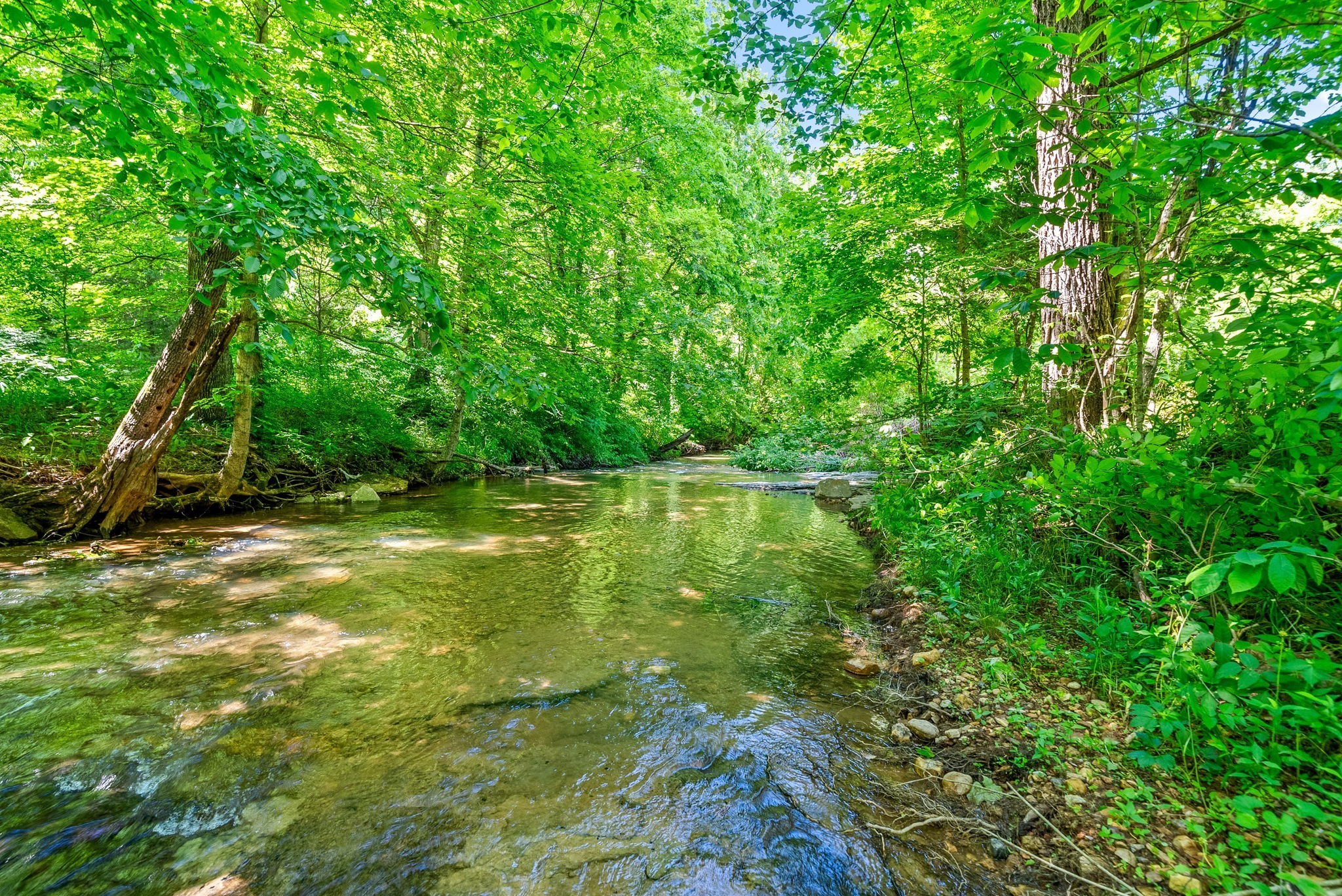 3712 Budds Creek Road Palmyra, TN 37142 - Photo 48 of 100