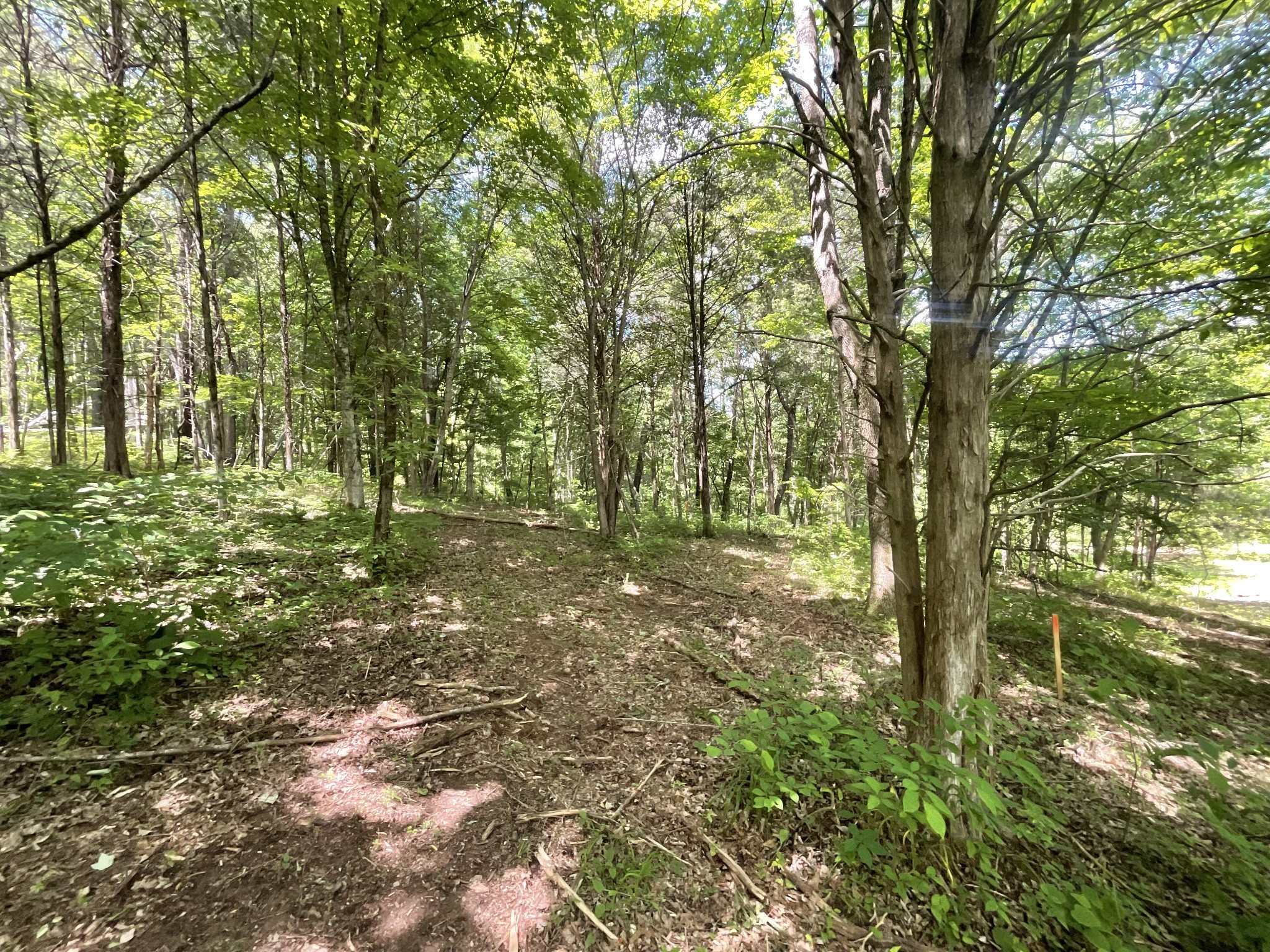 3712 Budds Creek Road Palmyra, TN 37142 - Photo 49 of 100