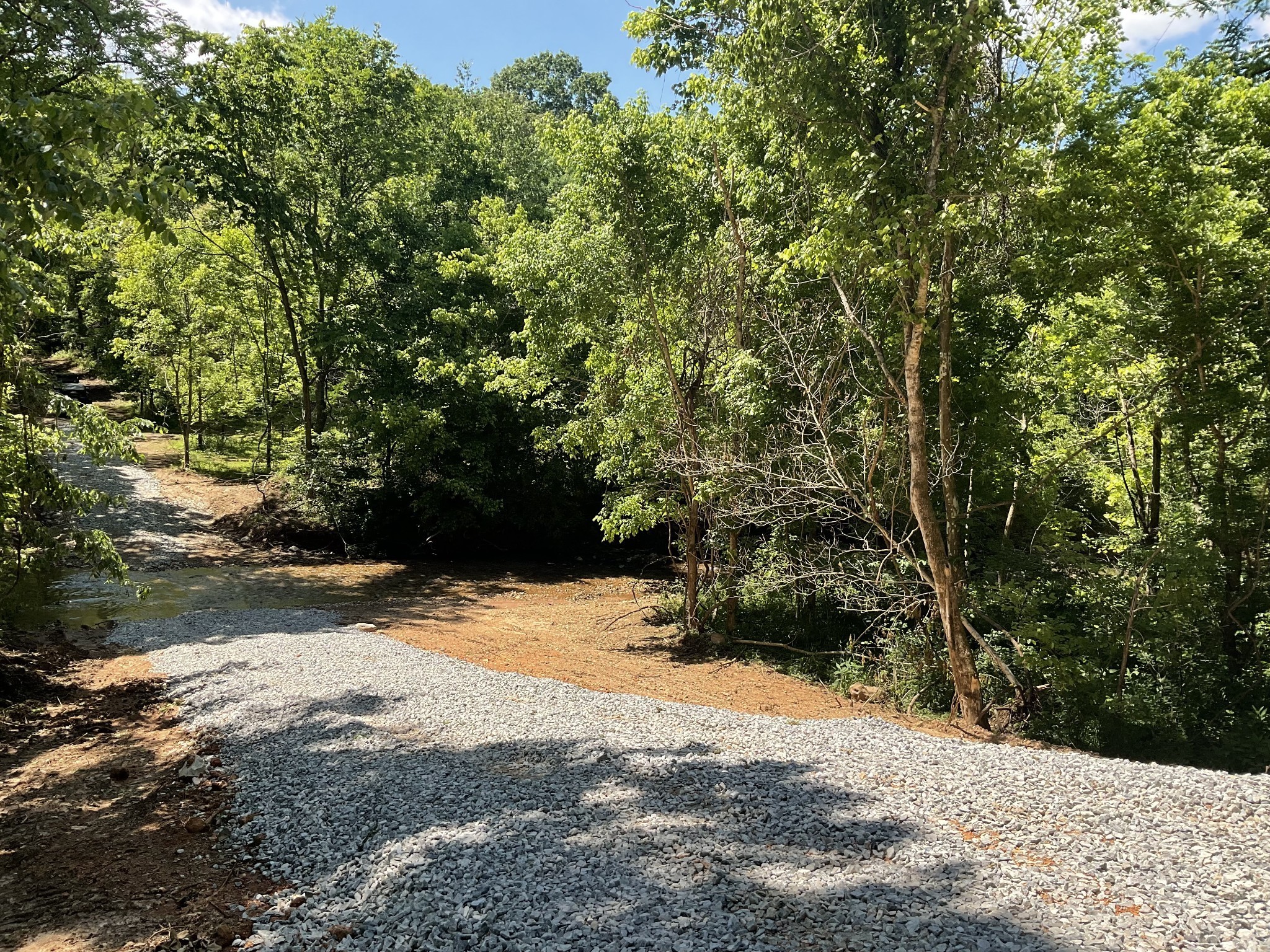 3712 Budds Creek Road Palmyra, TN 37142 - Photo 50 of 100 a view of a yard with plants and trees