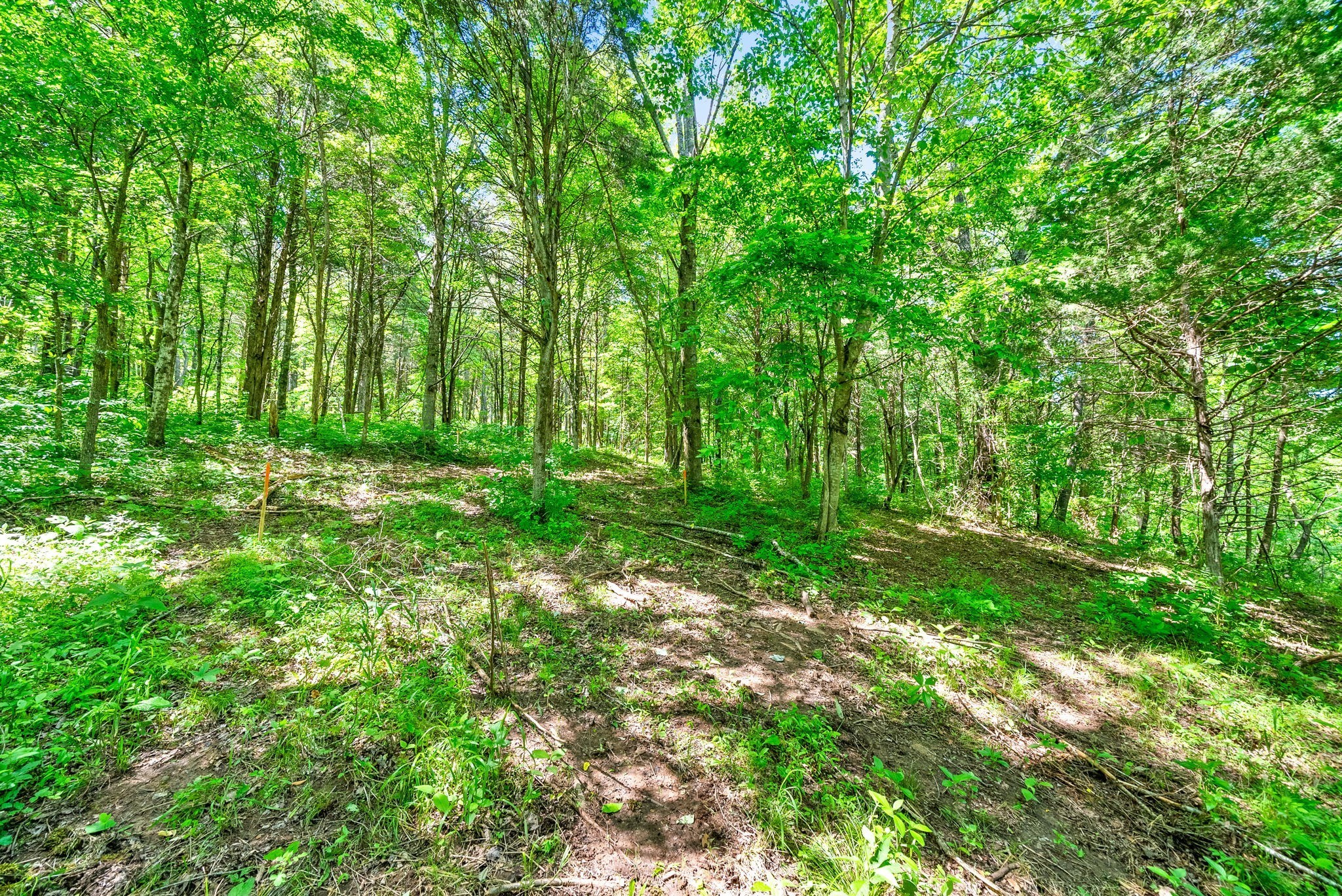 3712 Budds Creek Road Palmyra, TN 37142 - Photo 52 of 100