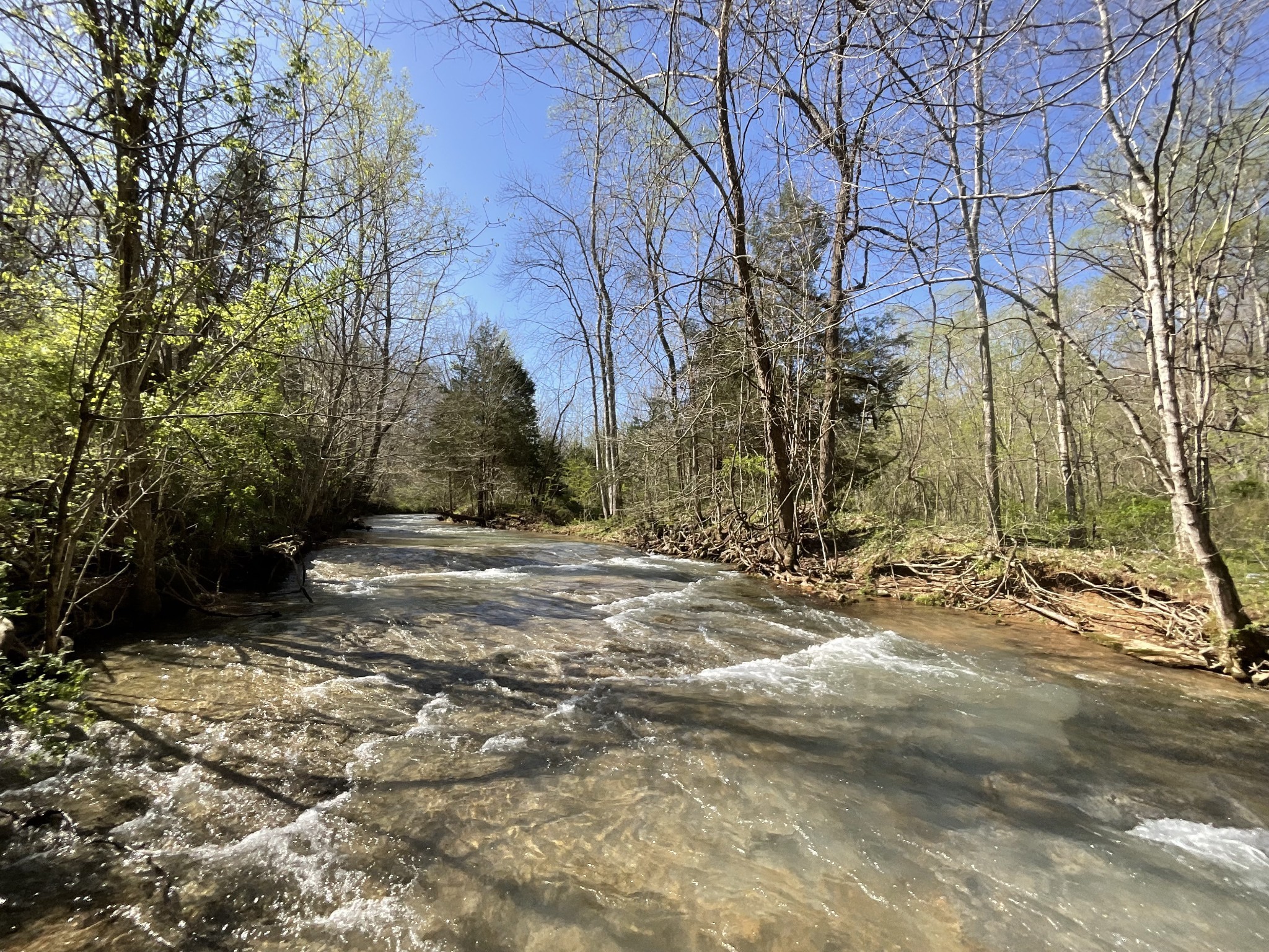 3712 Budds Creek Road Palmyra, TN 37142 - Photo 55 of 100