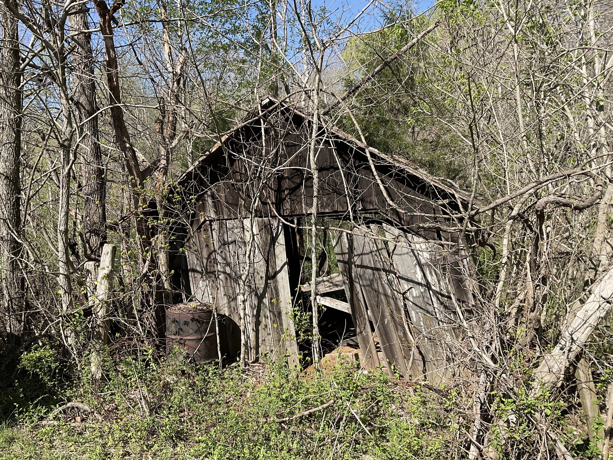 3712 Budds Creek Road Palmyra, TN 37142 - Photo 56 of 100