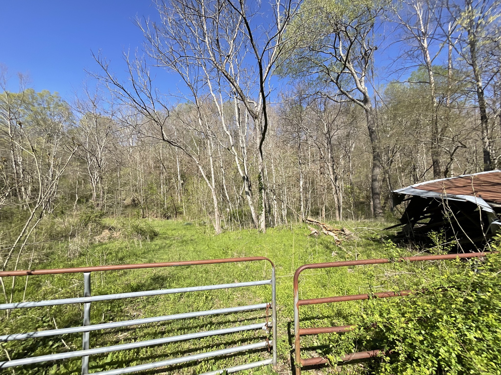 3712 Budds Creek Road Palmyra, TN 37142 - Photo 58 of 100