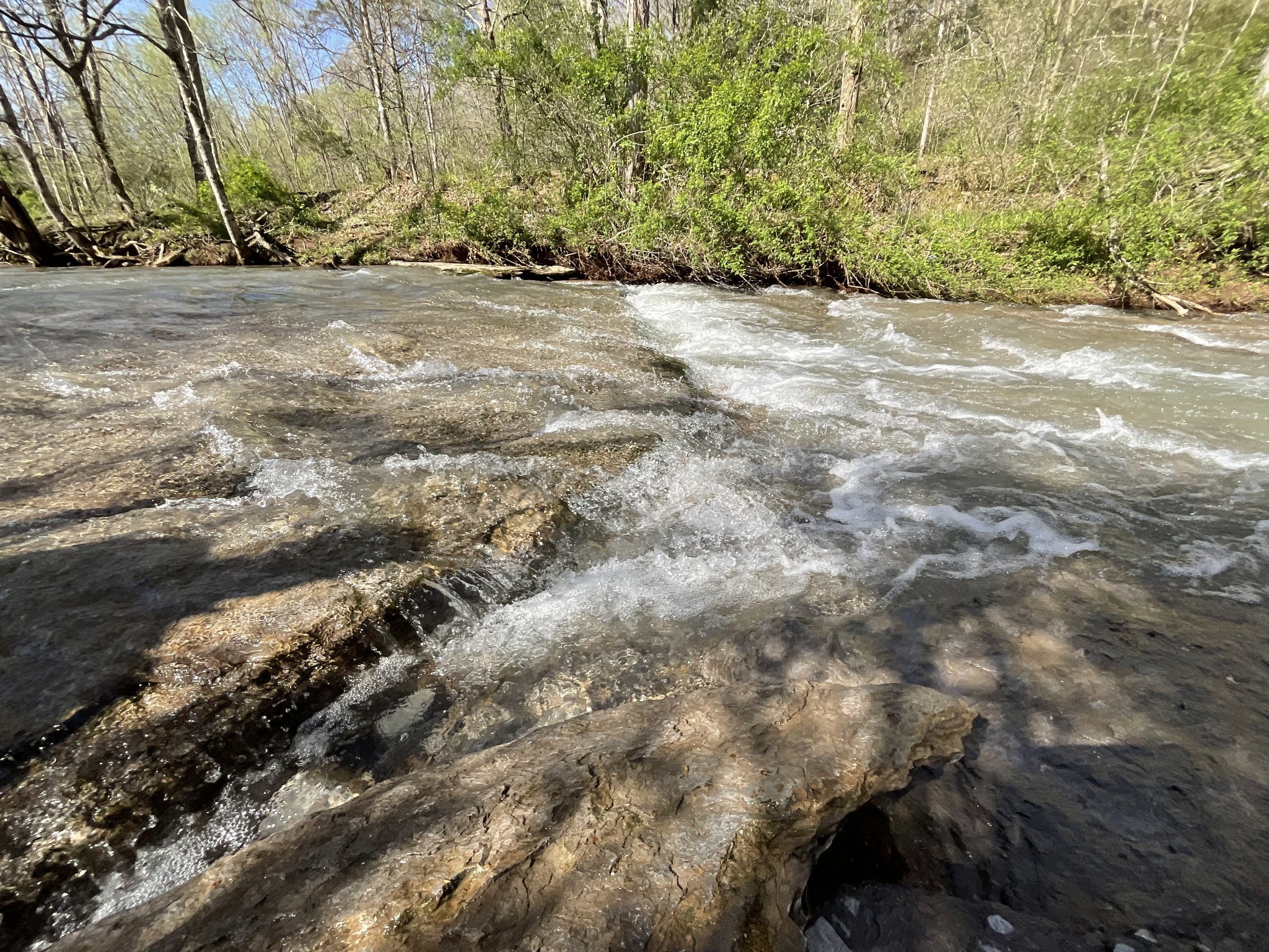 3712 Budds Creek Road Palmyra, TN 37142 - Photo 59 of 100