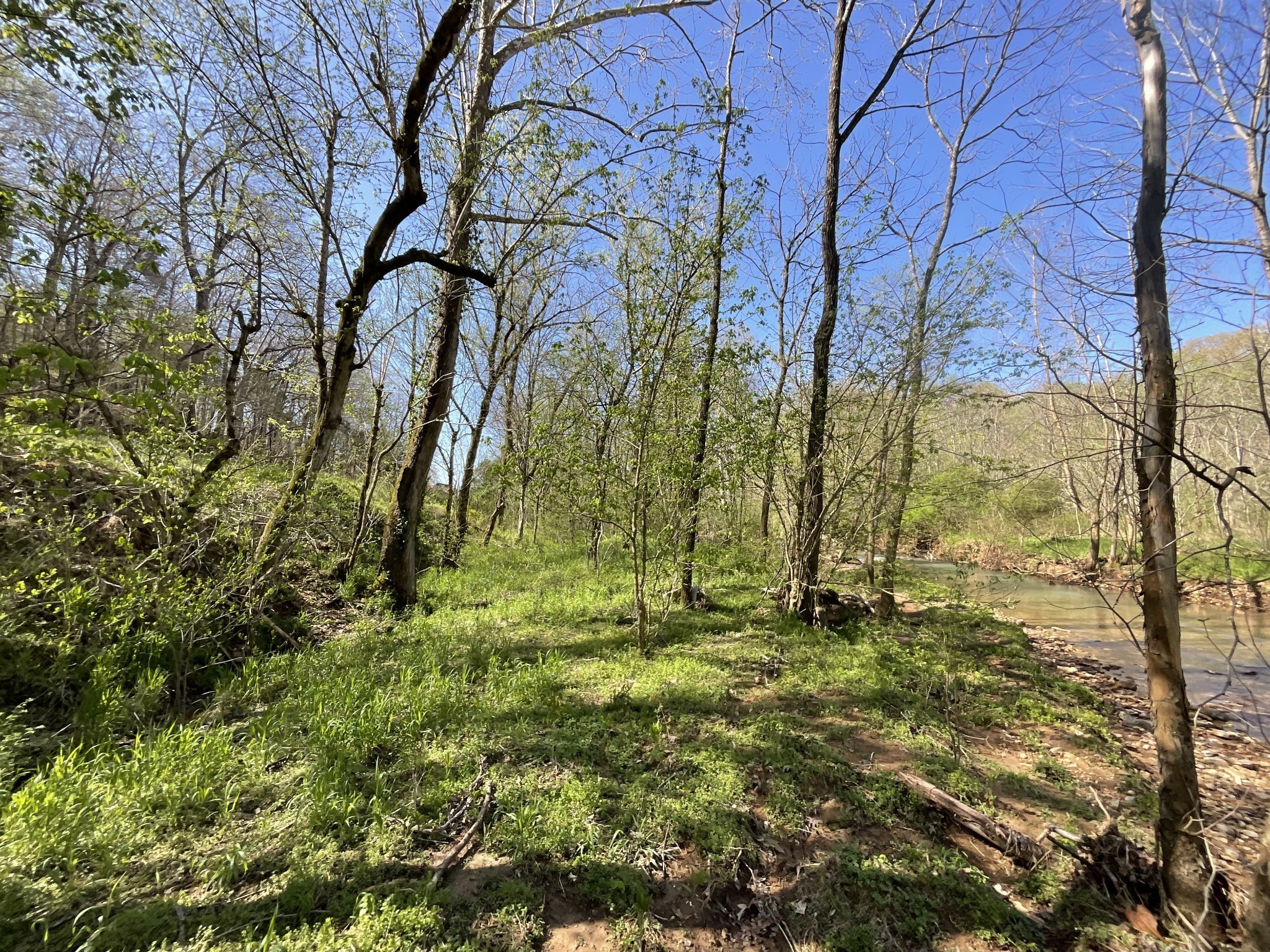 3712 Budds Creek Road Palmyra, TN 37142 - Photo 64 of 100