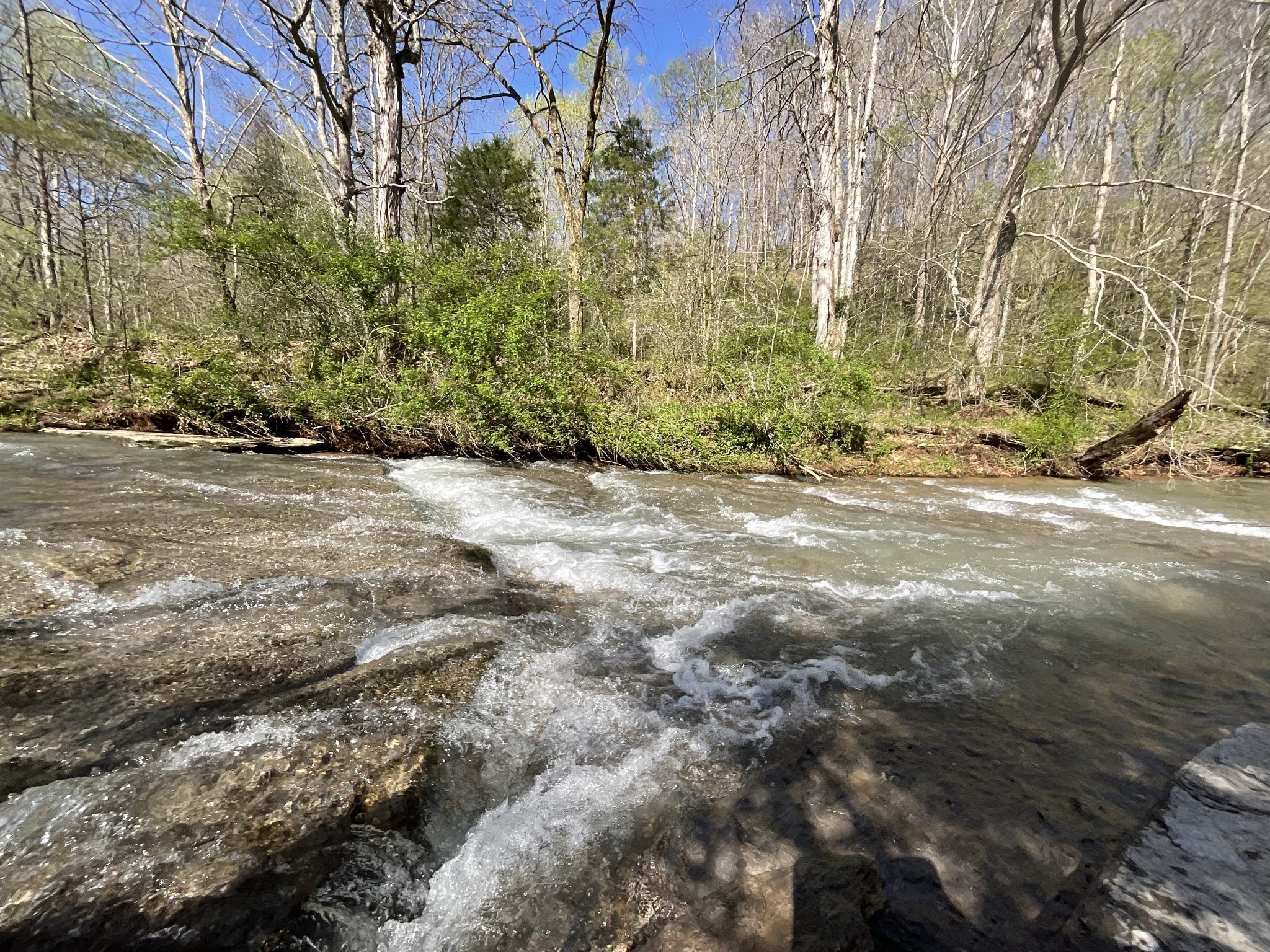 3712 Budds Creek Road Palmyra, TN 37142 - Photo 65 of 100