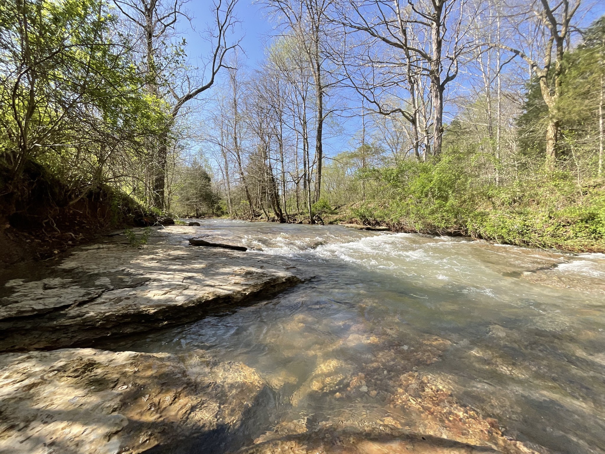 3712 Budds Creek Road Palmyra, TN 37142 - Photo 67 of 100